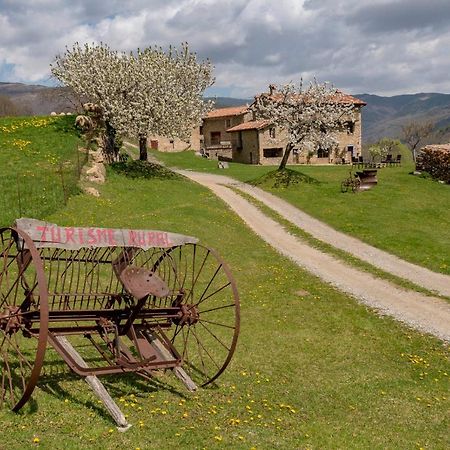 Can Galló Llanars Kültér fotó
